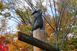 バーベキュー場 キャンプ場 花博記念公園 鶴見緑地