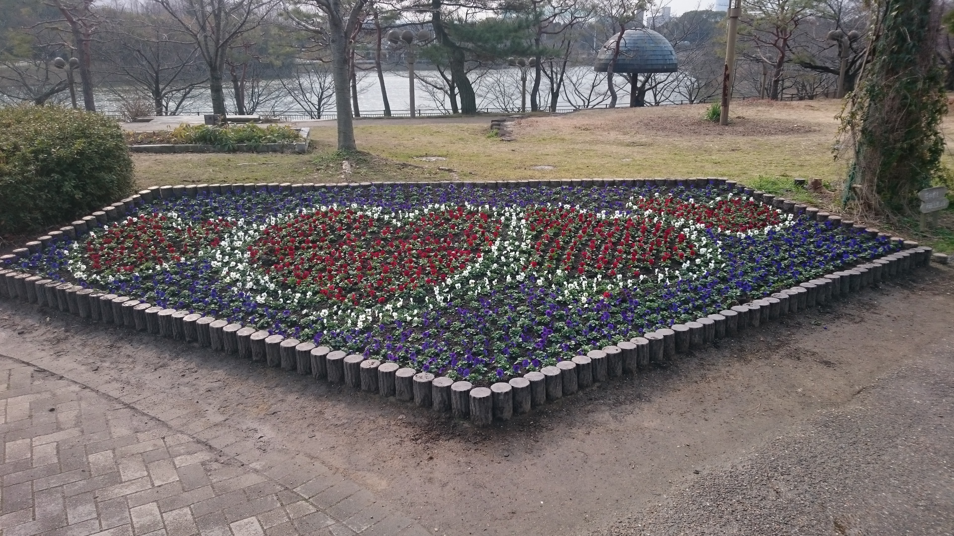 ハートマークを描いた花壇が完成しました ニュース 花博記念公園鶴見緑地