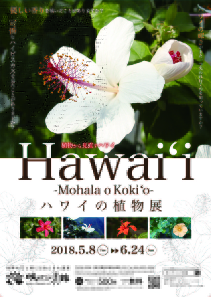 ハワイの植物展 Mohala O Koki O 5 8 6 24 イベント 花博記念公園鶴見緑地