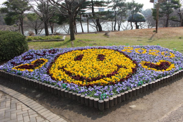 干支花壇から模様替えを行いました ニュース 花博記念公園鶴見緑地